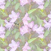 Rhododendron_shop_thumb