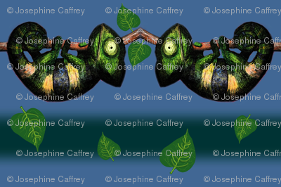 Baby Chameleon blue background