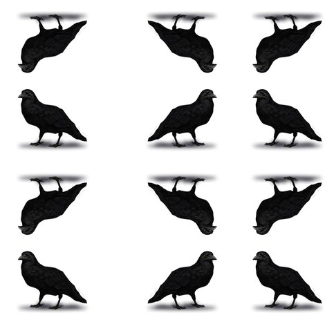 Rrrrcrow_shop_preview
