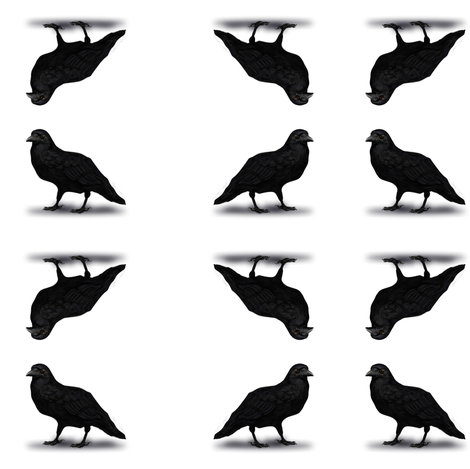 American Crow fabric by boneyfied on Spoonflower - custom fabric