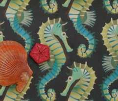 Rseahorse_on_grey-green_comment_226108_preview