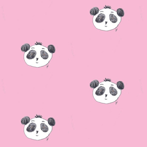 preston the panda on pink