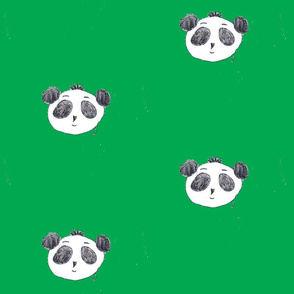 preston the panda in the jungle