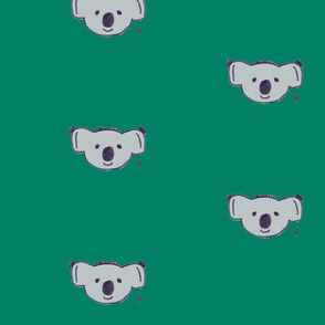 karl the koala on eucalyptus