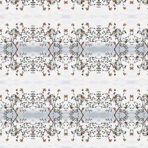 Snow Lace_4485