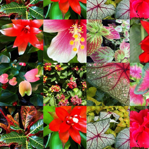 botanical holiday cocktail napkins
