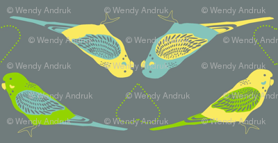 budgie_stripe
