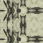 Angles-dragonfly series