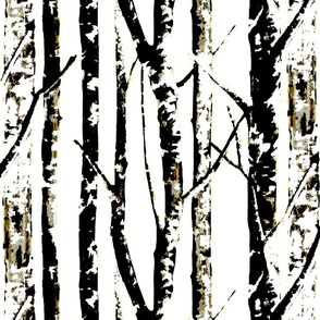 Winter Birch