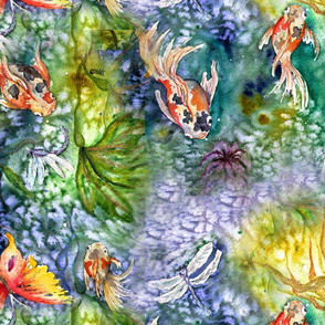 koi