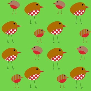 Birds - Christmas Robins