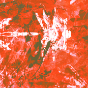 Dragonfly New Year Red