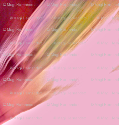 Chiffon Splash in Magenta