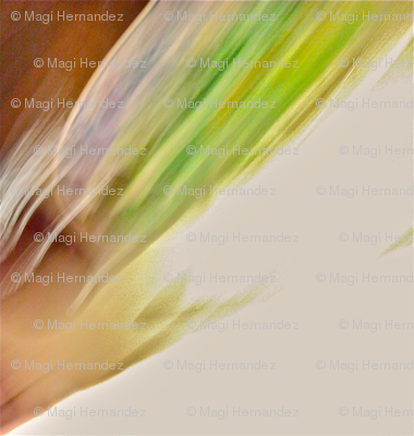 Chiffon Splash