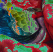 Matisse Velvet