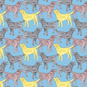 Colorful Labrador sketches - blue