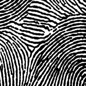 Fingerprint stripes black & white