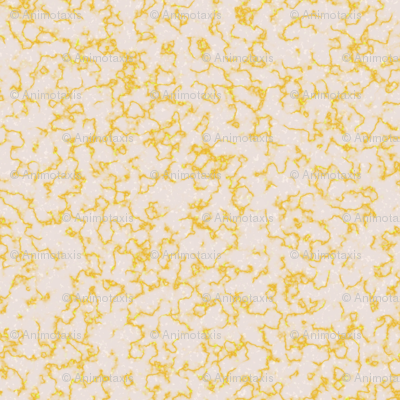 Marble 12
