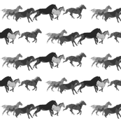 Galloping Horse Herd black and white watercolor