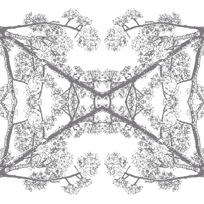 Cherry Blossom #6