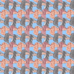 Dachshund faces - blue