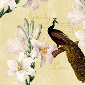 Peacock Lilies