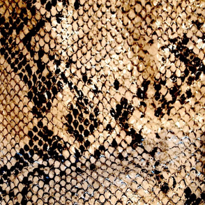 Snake Skin