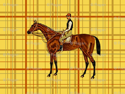 Silvo on plaid