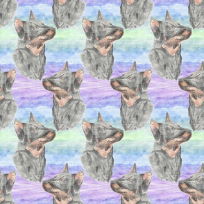 Watercolor Beaucerons