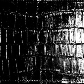 Black Croc