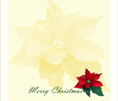 Cocktail_Napkins_Poinsettia by Sylvie