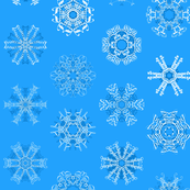Calligraphic Christmas snowflakes on ice blue