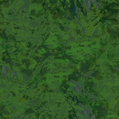 Dark Green Splash