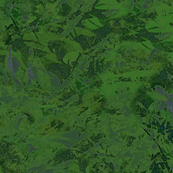 Dark Green Splash