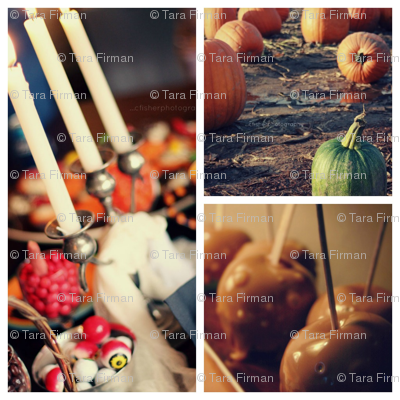 PicMonkey_Collage