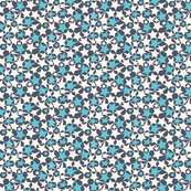 Rrrapport-etoile-gris_shop_thumb
