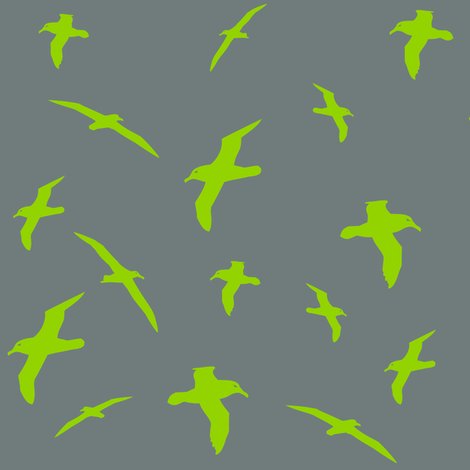 Ralbatross_flight_shop_preview