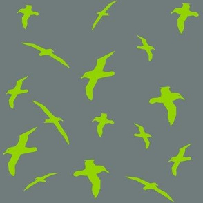 Albatross Flight