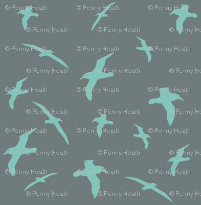 Albatross Flight Teal