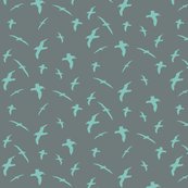 Ralbatross_flight_teal_shop_thumb