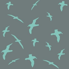 Albatross Flight Teal