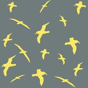 Albatross Flight Yellow
