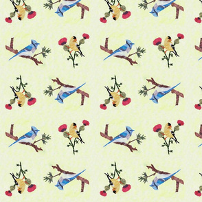 Gold Finch and Blue Jay
