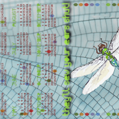 Year of the Dragonflies