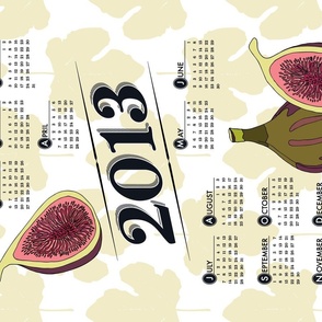 2013 - Year of the Fig!