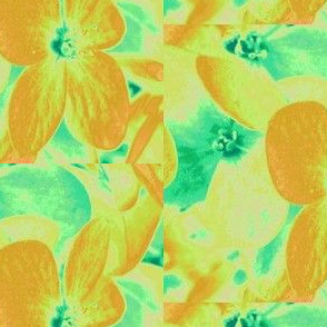 Lucile's hydrangeas - yellow & green #1