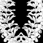 Rimage_shop_thumb