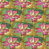 Rwater_lily__2_shop_thumb