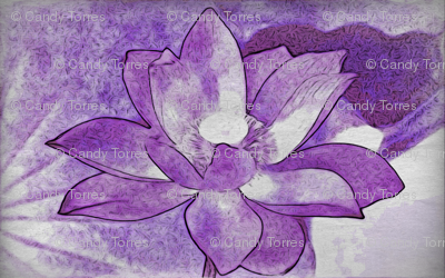 water lily #4