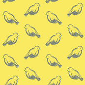Canaries